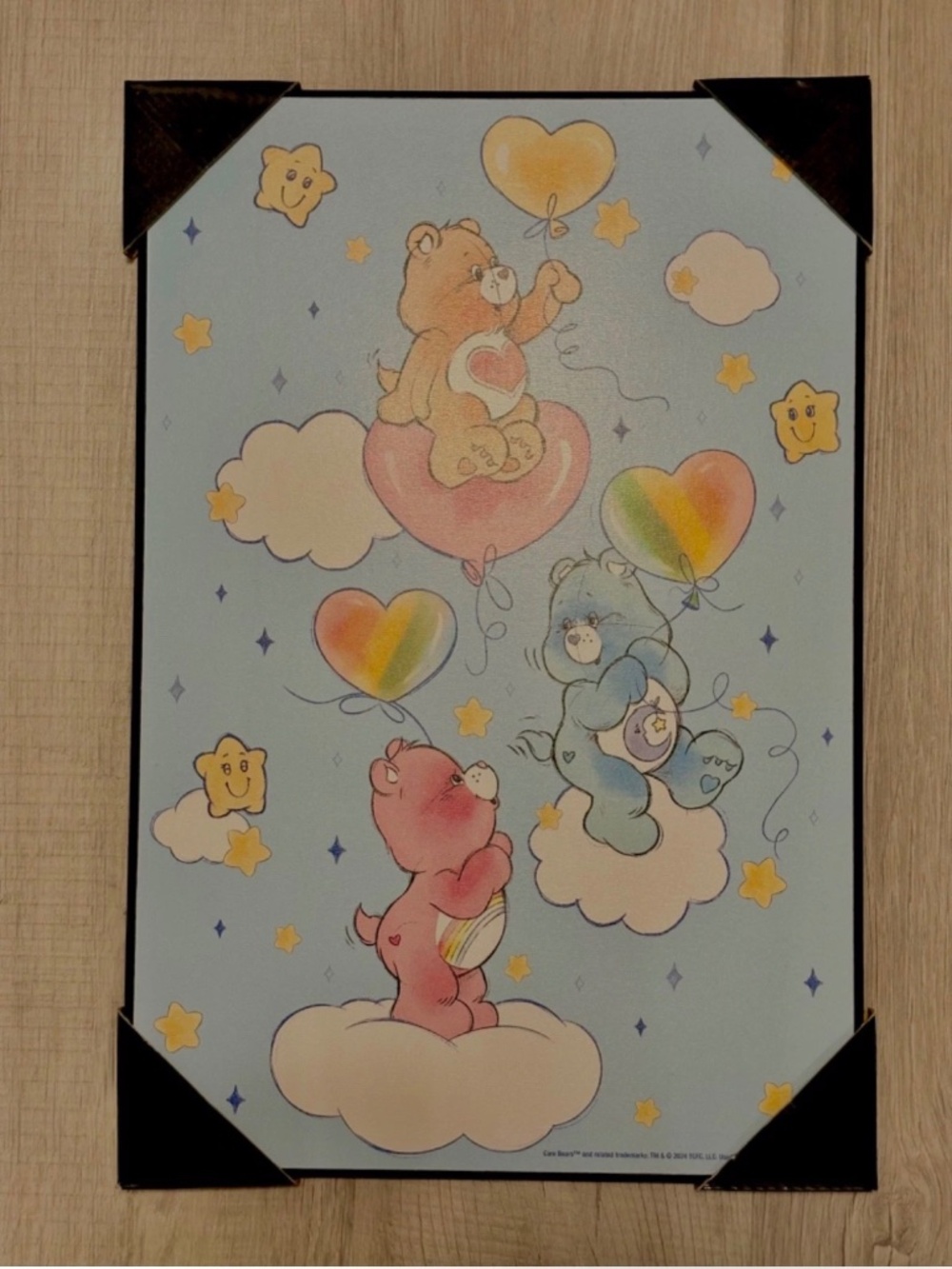 Care Bears Premium Wooden Wall Art Decor Pastel Kawaii Coquette Sketch Artsy New